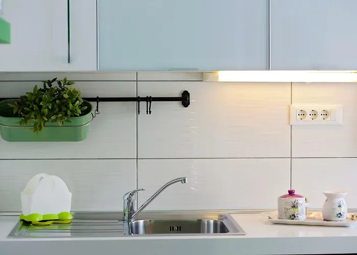 Melanija 1 로비니